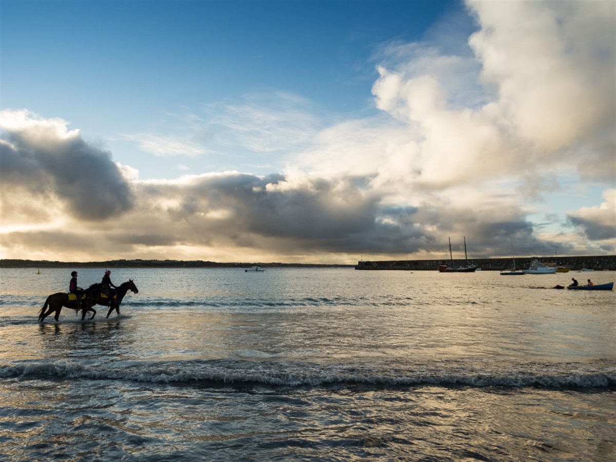 great ocean road horse riding tours