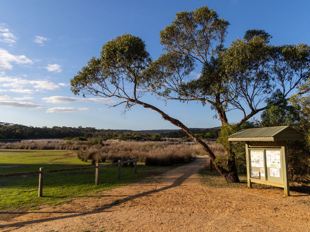 CoogoorahPark_June2024_2.jpg