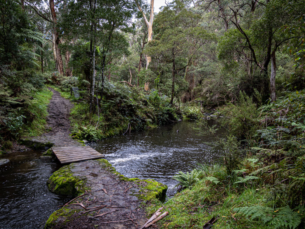 Lorne_Transfer_May2024.jpg