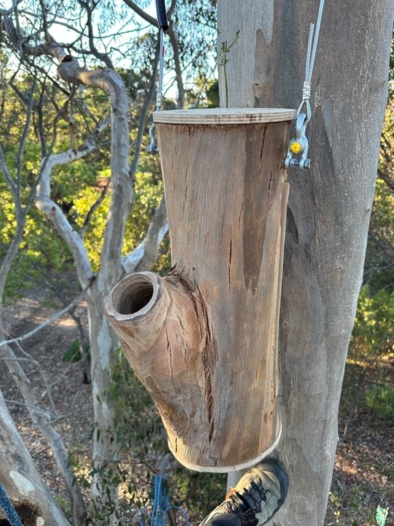 Nesting boxes at Taylor Park.jpg