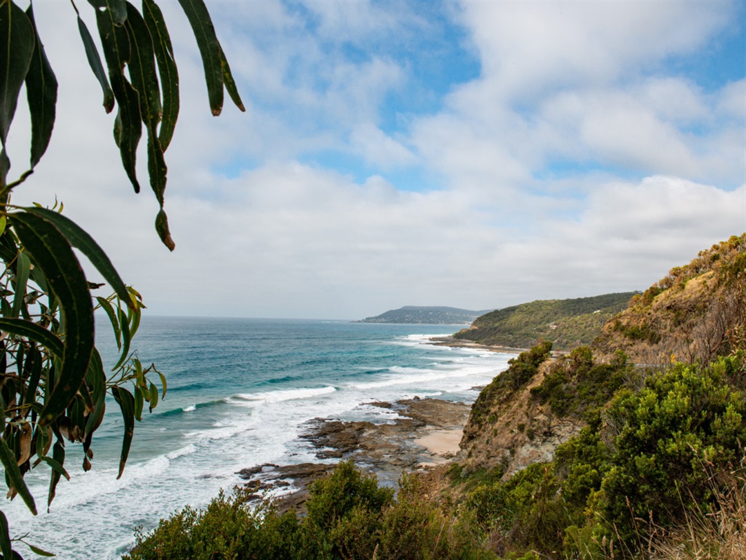 Programs and projects Great Ocean Road Coast and Parks Authority