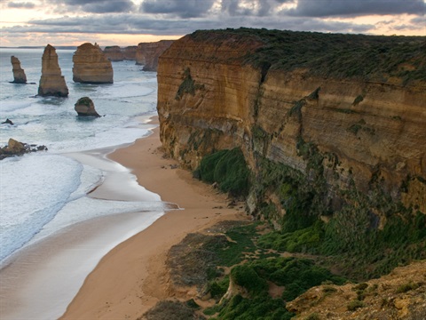 A cluster of the 12 Apostles at Port Cambell National Park