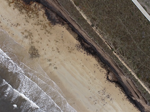 Cliff Safety Reminder – Demons Bluff and Grinders Area, Anglesea 